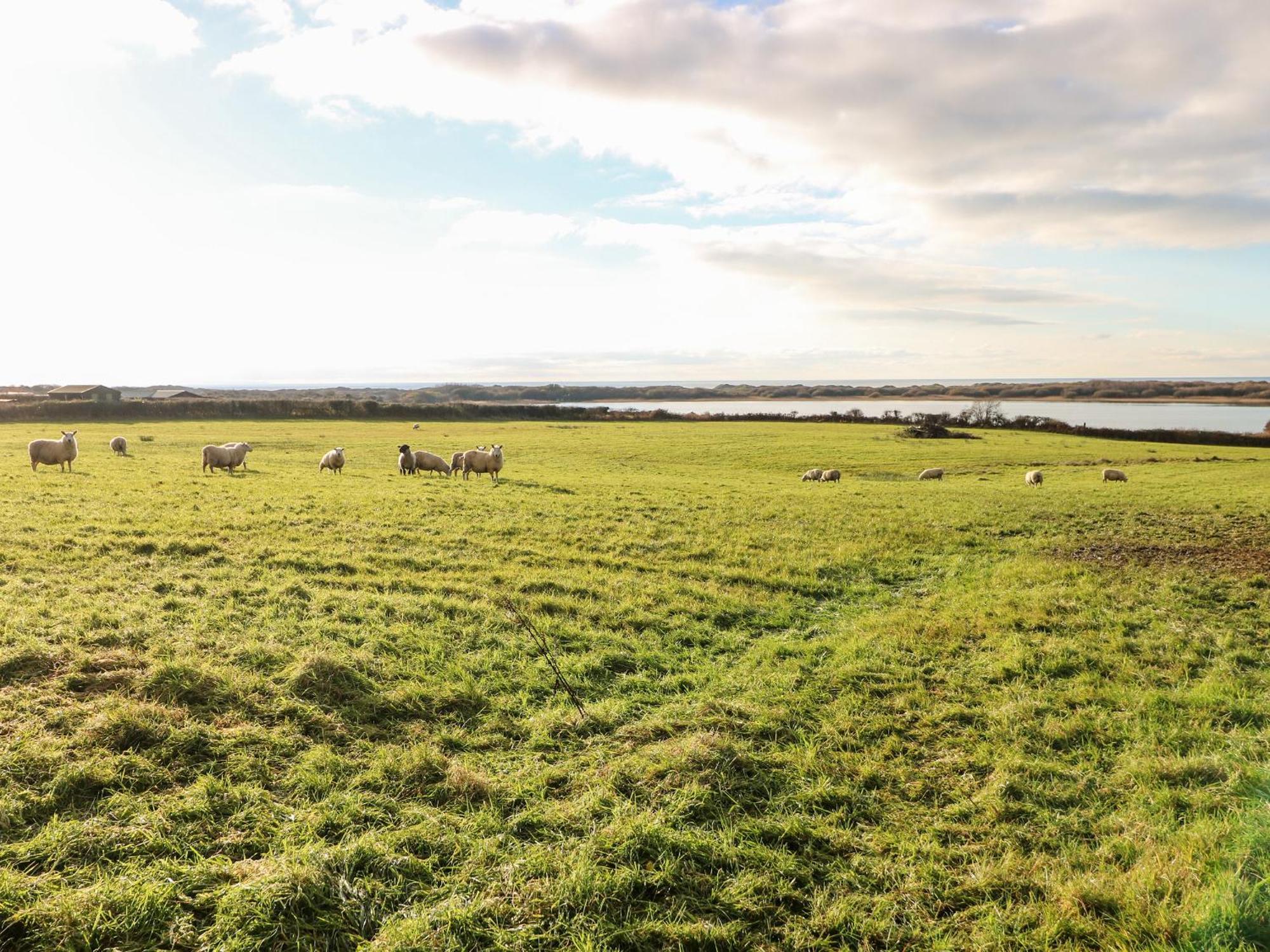Kenfig Farm Bridgend (Wales) Exterior foto